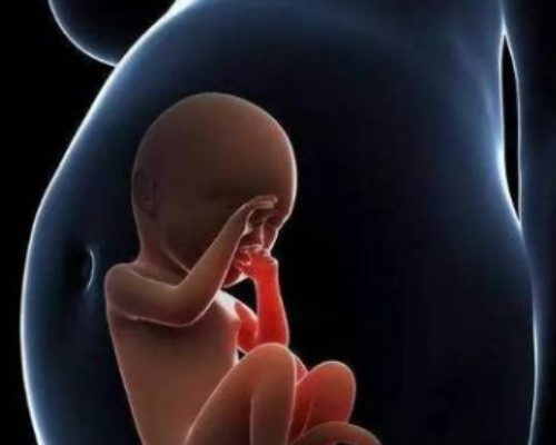 怀孕香港验血原理,输卵管切除了做俄罗斯试管婴儿就可以避免宫外孕了吗？