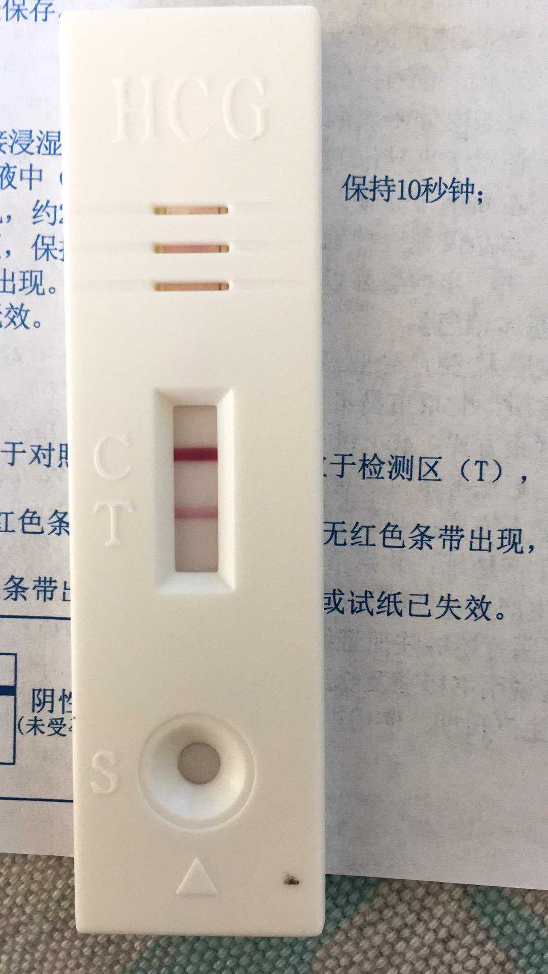 10周还可以香港验血,早孕试纸也会骗人，怎样准确使用早孕试纸，备孕期女人越