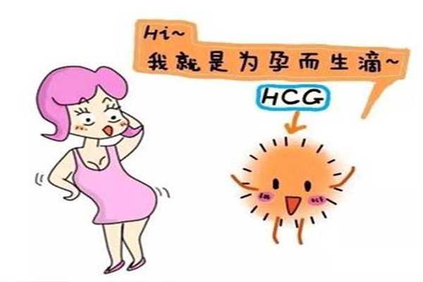 怎样找代购在香港验血,专家告诉你试管婴儿血hcg值在50左右代表着床成功