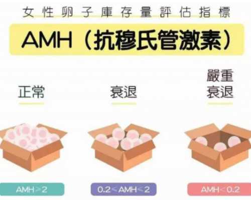 郑州供卵成功案例分享与新郑供卵服务解析