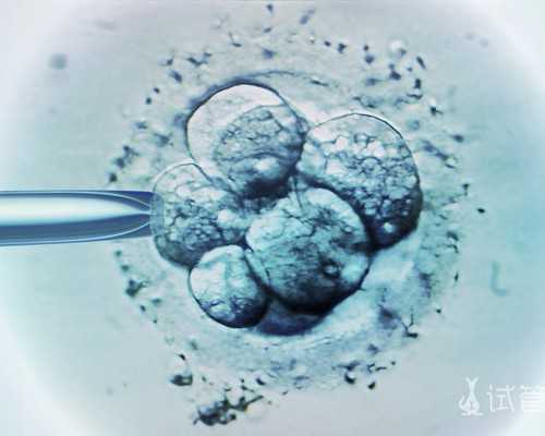 杭州供卵医院与试管婴儿机构选择指南