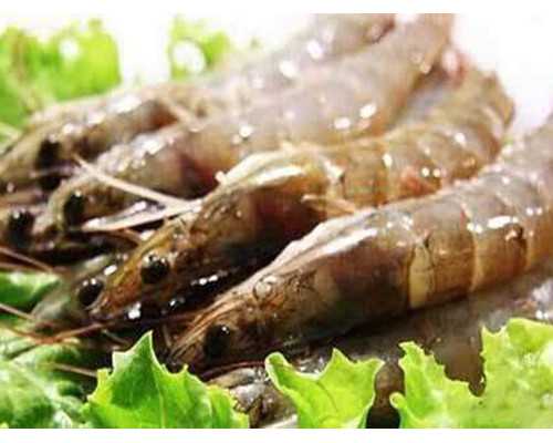 洛阳供卵成功案例分享与过程解析