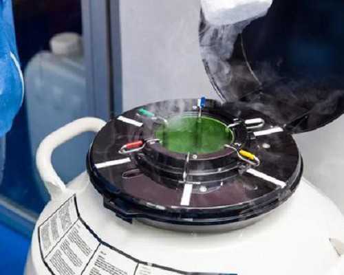 武汉供卵试管中心哪家机构最大?2024同济医院生殖中心解析