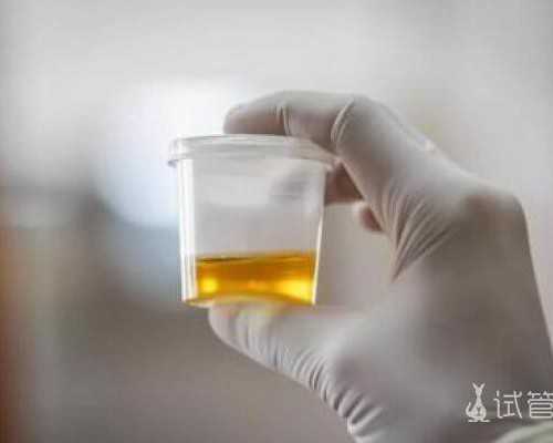 北京供卵三代试管费用解析与私立医院推荐