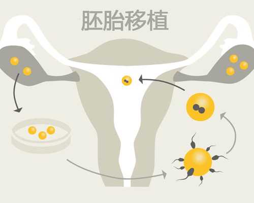 武汉代怀宝宝合法吗？2025年武汉试管代怀生子机构排名及助孕名单揭晓