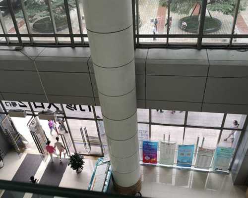 马来西亚与韩国供卵服务解析