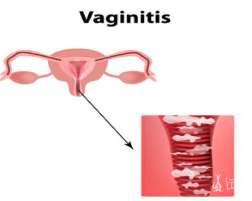 北京私立试管医院供卵技术解析与北京大学第三医院生男孩成功率探讨