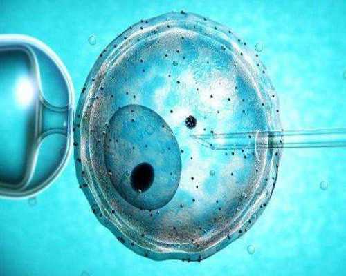 郑州单身女性精子库能否做试管婴儿?三代试管技术解析及医院指南