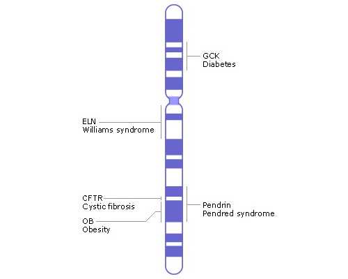 长沙供卵试管机构排名与无需等待选择指南
