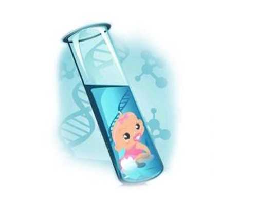 河北与山西供卵代怀服务及试管婴儿技术解析