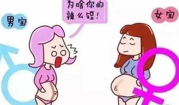 香港邮寄验血被骗3200须知网_香港怀孕要多久可以查男女,验血查性别哪个验机构