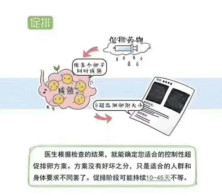 香港验血中介机构哪家为,第三代试管婴儿过程中怎样评估自己的卵巢？